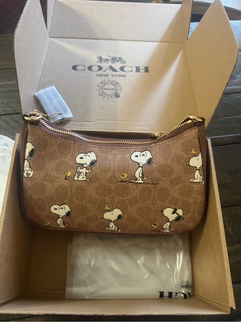 Coach mini wristlet